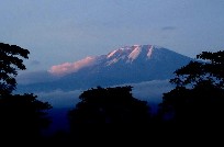 Kilimanjaro sunset
