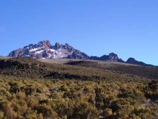 Mawenzi peak from Kilimanjaro's upper moorland